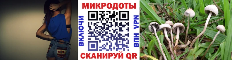 Псилоцибиновые грибы Psilocybe  Щёлково 